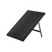 RICH SOLAR MEGA 60 Watt Portable Solar Panel Black Front