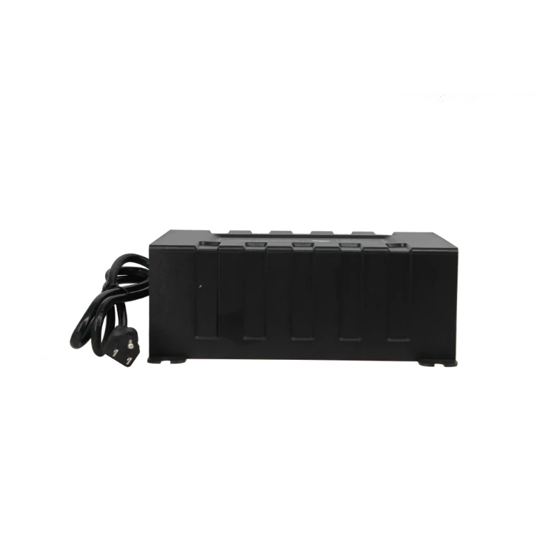 Lion Energy Savanna 45A Battery Charger Back